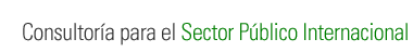 Consultor&iacute;a para el Sector P&uacute;blico Internacional